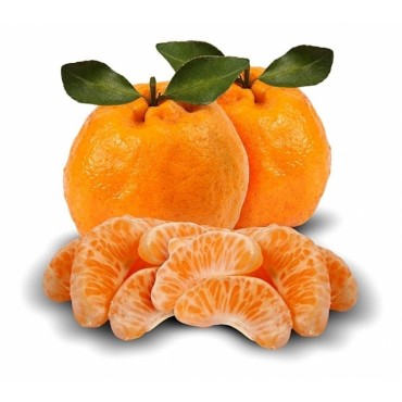 Tangerina Ponkan 500g