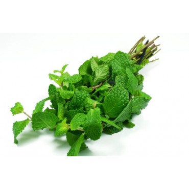 Hortelã und